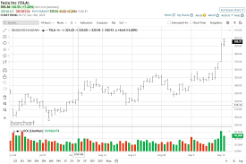 tesla stock